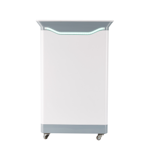 2021 Good Quality Air Purifier For Smokers Home - Best HEPA Bedroom Domestic Air Purifier – LiangYueLiang