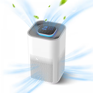 Air purifier (1)
