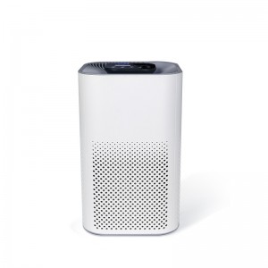 Tabletop Air Purifier for Smoker Dust Mold Pollen