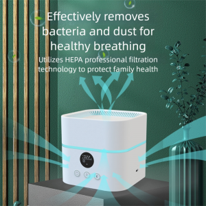 air purifier and  humidifier