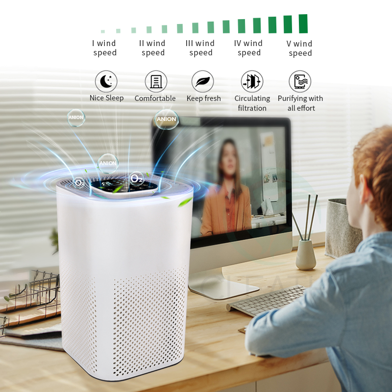 熱い販売エア浄化器(1)