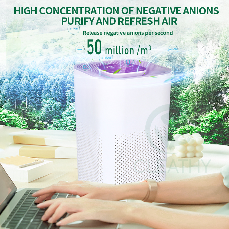 https://www.lyl-airpurifier.com/