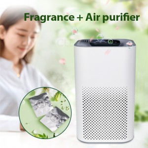 2021 China New Design Highest Rated Home Air Purifier – [Ex-factory direct sales] Premium Newest HEPA Hospital Clean Air Purifier – LiangYueLiang