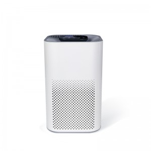 Good Quality Recommended Air Purifier - Low Noise Negative Ion Hepa Filter Home Air Purifier – LiangYueLiang